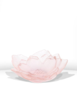 Coupe PM rose Camélia - DAUM