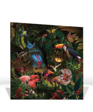 Photographie Selvatica sur verre trempé - SCHULLER – Image 2
